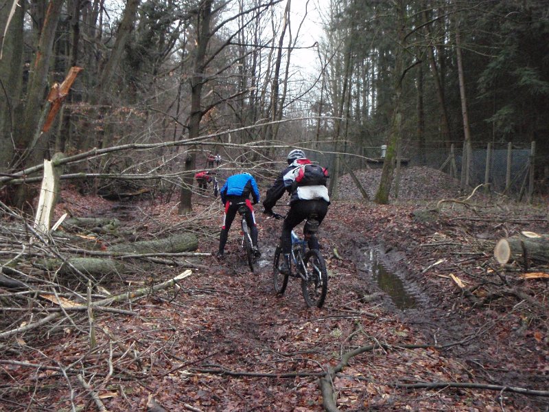 Waldtour 028